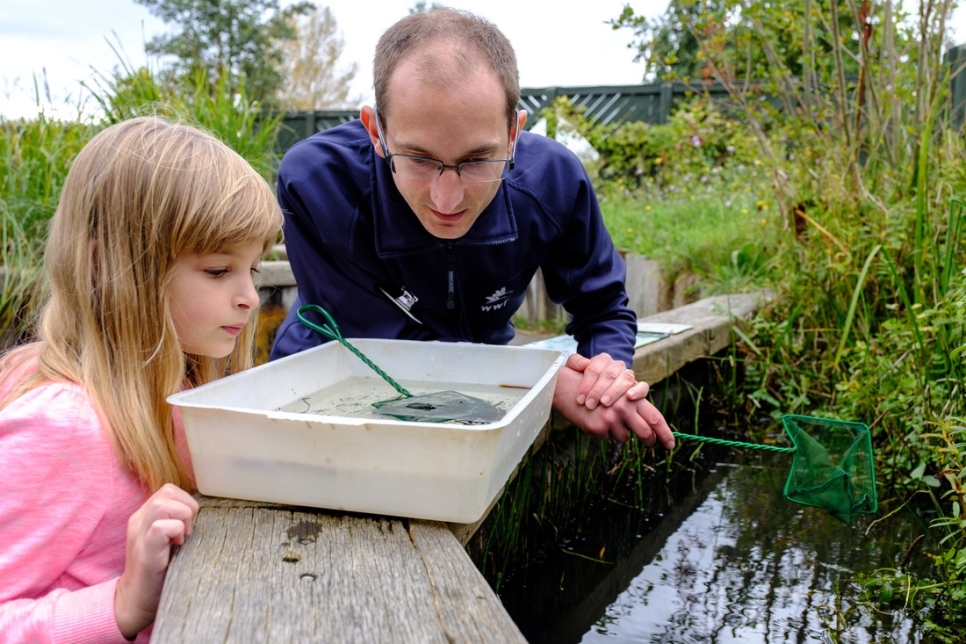 Quiet Pond Dipping Sessions